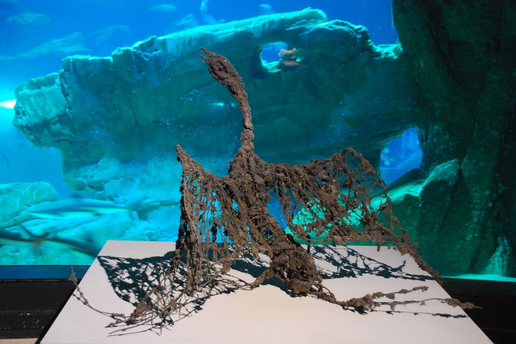 Sabatté à l'Aquarium de Paris